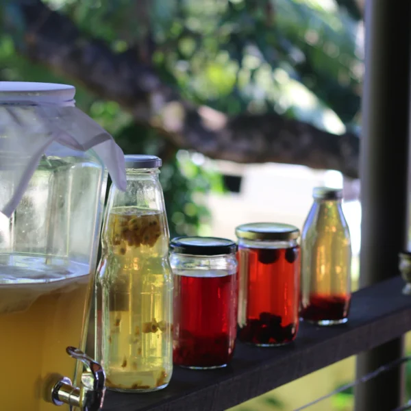 Berry Hibiscus Kombucha Duo — Beverages at Mega Sale