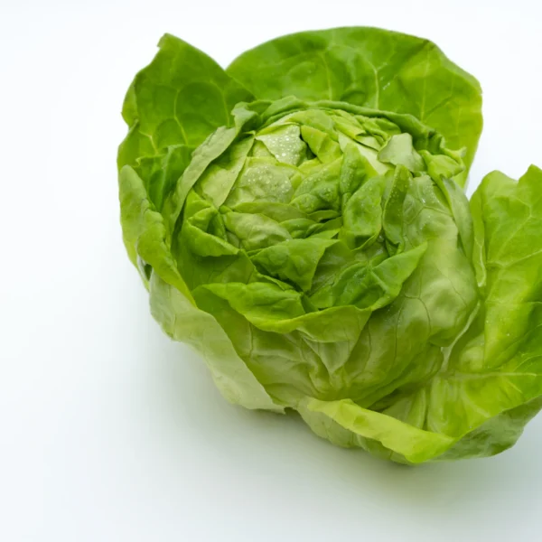 Butter Lettuce Twin Pack — Fresh Produce at Mega Sale