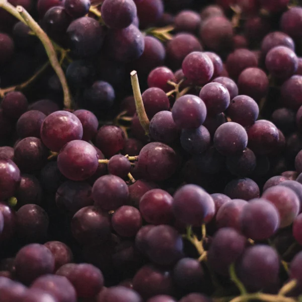 Cotton Candy Grapes 1.5 lb — Fresh Produce at Mega Sale