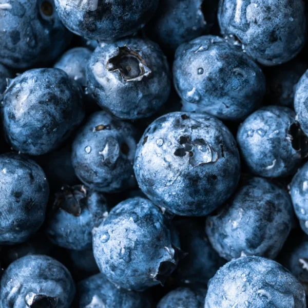 Fresh Blueberries Pint — Fresh Produce at Mega Sale