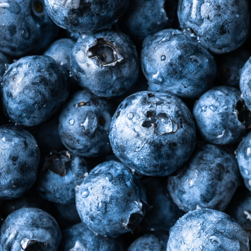 Fresh Blueberries Pint β Fresh Produce at Mega Sale