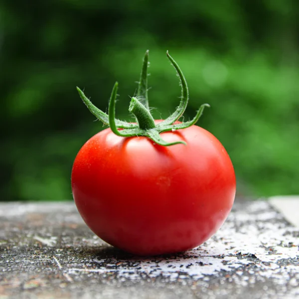 Heirloom Cherry Tomato Medley — Fresh Produce at Mega Sale
