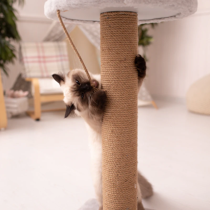Modern Cat Tree Tower 52" β Pet Supplies at Mega Sale