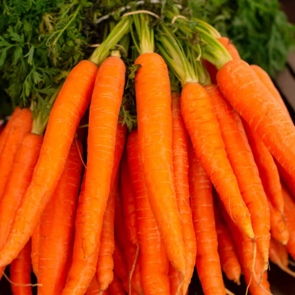 Rainbow Carrot Bunch — Fresh Produce at Mega Sale