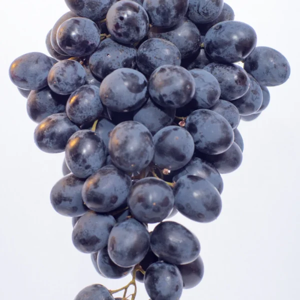 Red Seedless Grapes 2 lb — Fresh Produce at Mega Sale