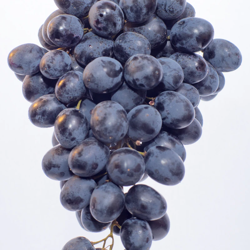 Red Seedless Grapes 2 lb β Fresh Produce at Mega Sale