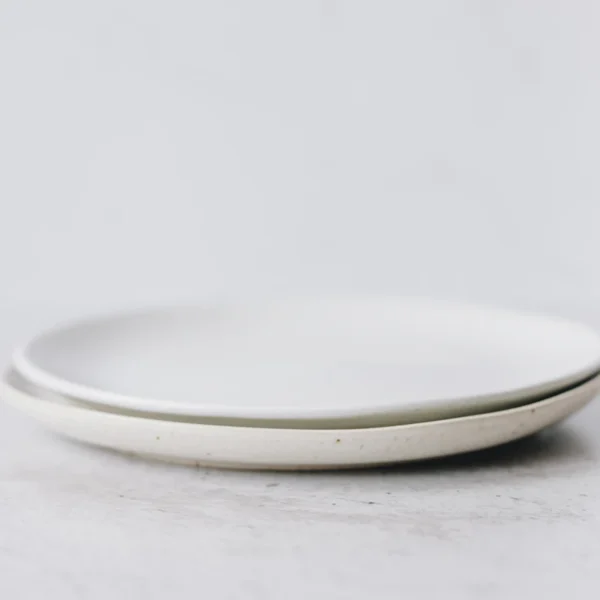 Stoneware Dinner Plate Set of 4 — Home & Kitchen at Mega Sale