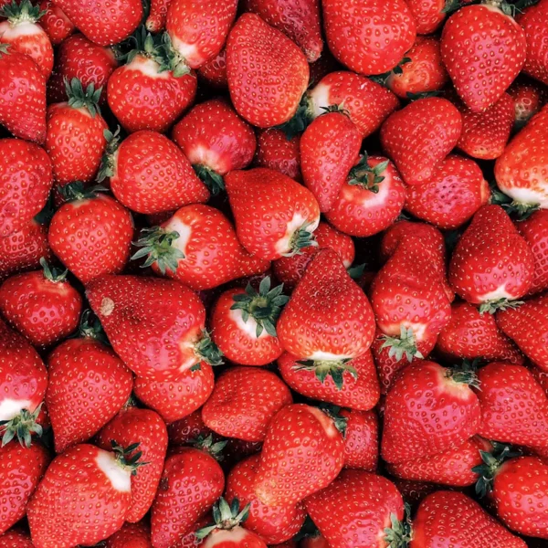 Sweet Strawberries Family Pack 2 lb — Fresh Produce at Mega Sale